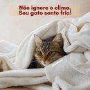Miau Warm - Tapete Térmico para gatos (sem eletricidade)