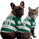 Camisa do Palmeiras - Personalizada