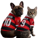 Camisa do Flamengo 2026 - Personalizada
